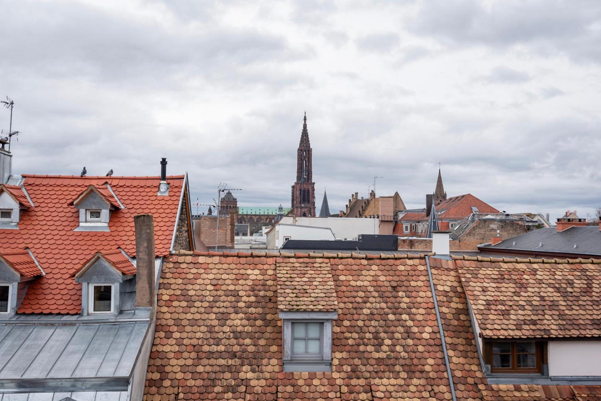 Le Schoepflin - Coeur De Strasbourg - Vue Toits Ngoại thất bức ảnh