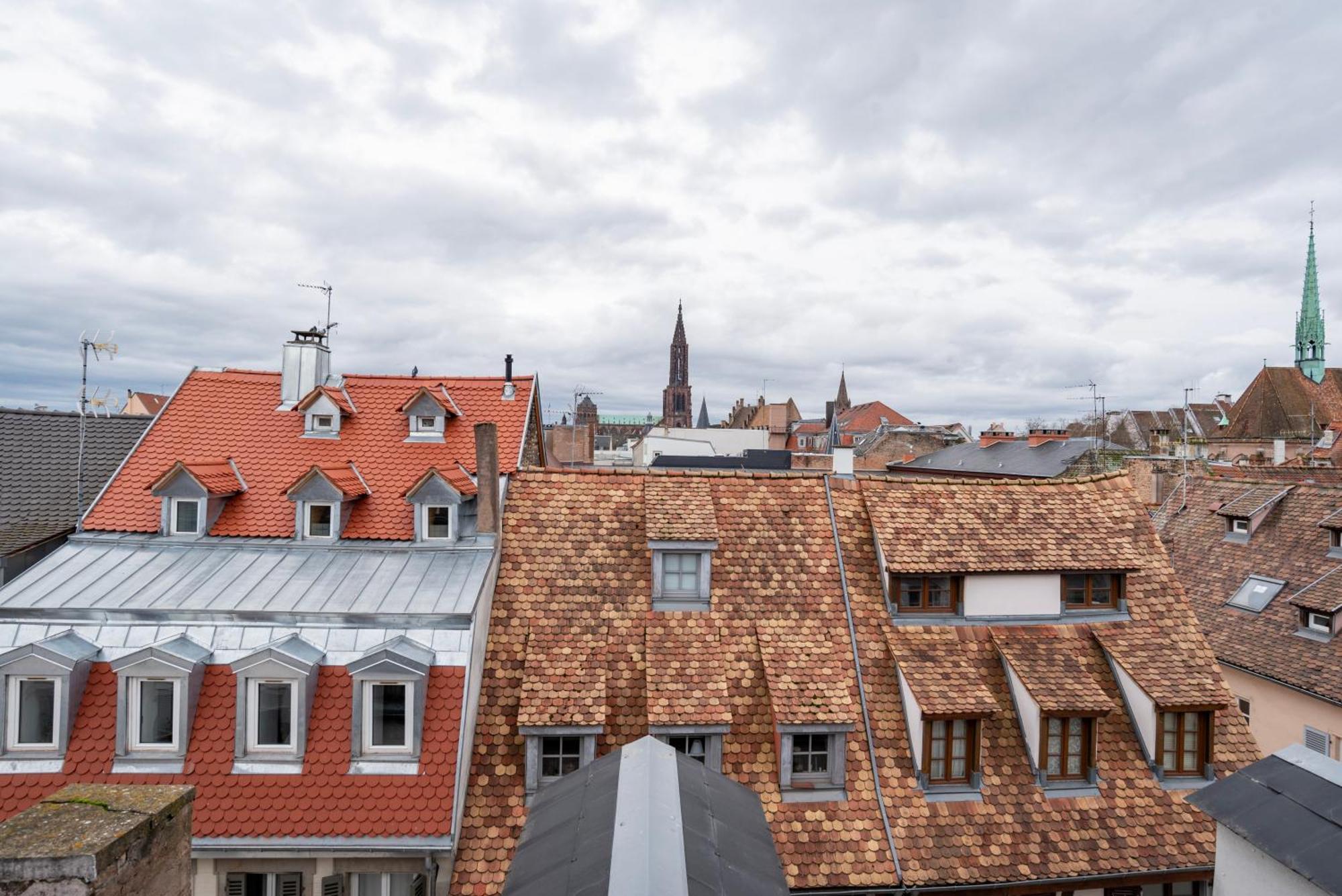 Le Schoepflin - Coeur De Strasbourg - Vue Toits Ngoại thất bức ảnh